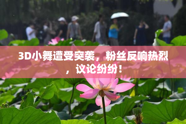 3D小舞遭受突袭，粉丝反响热烈，议论纷纷！