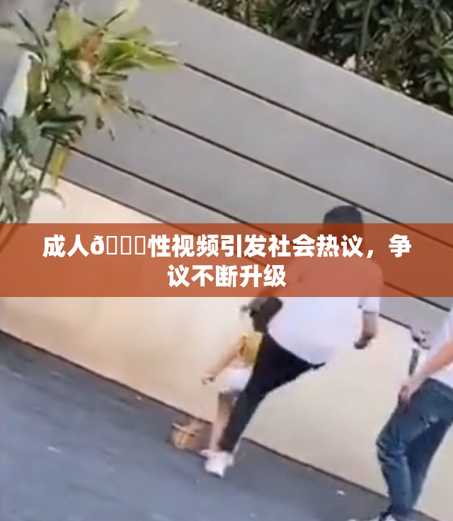成人🔞性视频引发社会热议，争议不断升级