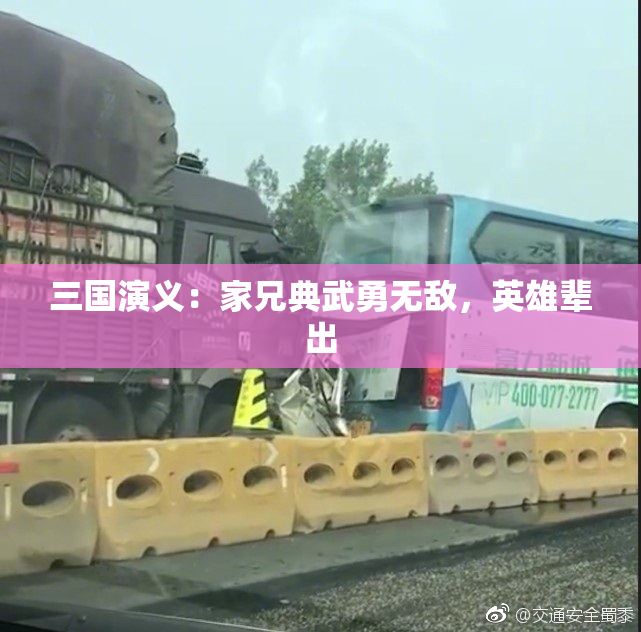 三国演义：家兄典武勇无敌，英雄辈出