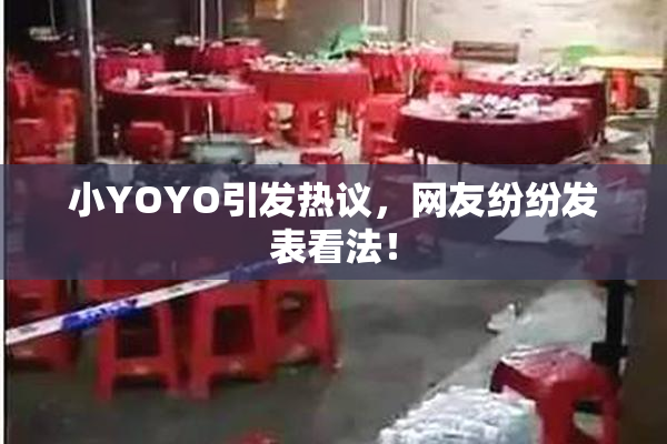 小YOYO引发热议，网友纷纷发表看法！