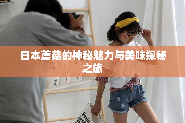 日本蘑菇的神秘魅力与美味探秘之旅