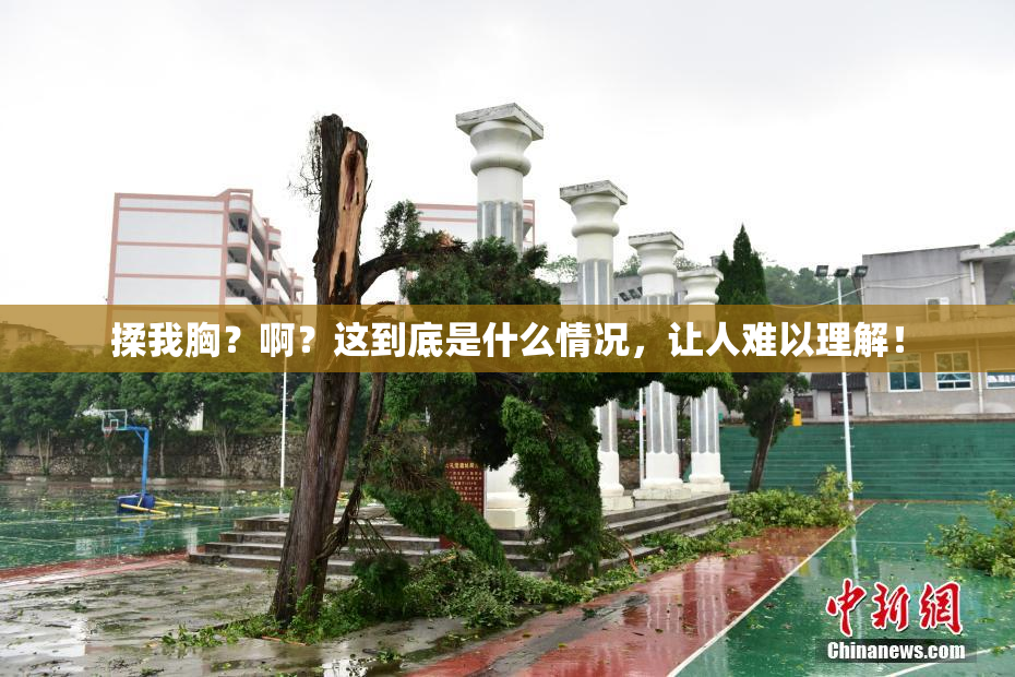 揉我胸？啊？这到底是什么情况，让人难以理解！