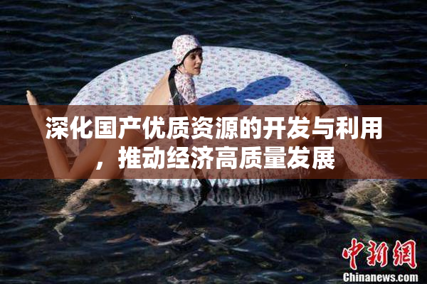 深化国产优质资源的开发与利用，推动经济高质量发展