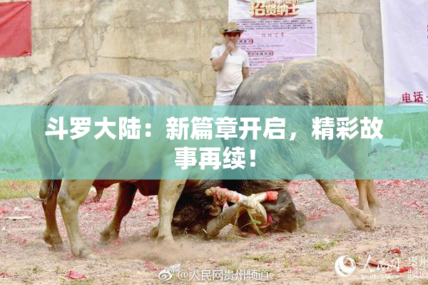 斗罗大陆：新篇章开启，精彩故事再续！