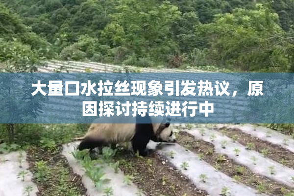 大量口水拉丝现象引发热议，原因探讨持续进行中