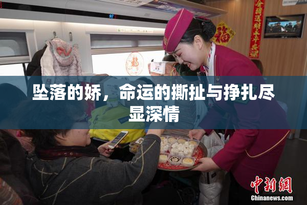 坠落的娇，命运的撕扯与挣扎尽显深情