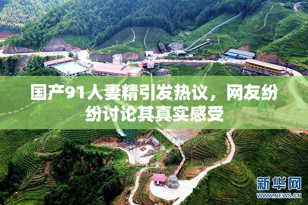 国产91人妻精引发热议，网友纷纷讨论其真实感受