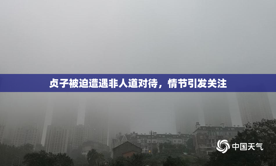 贞子被迫遭遇非人道对待，情节引发关注
