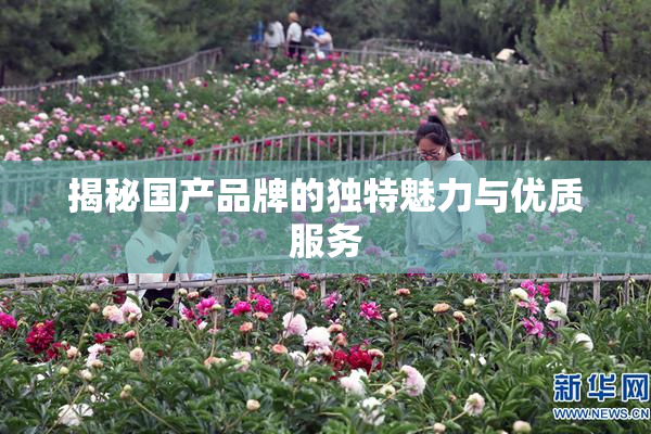揭秘国产品牌的独特魅力与优质服务