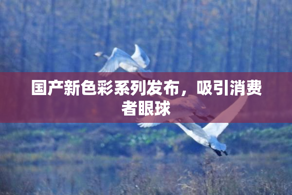 国产新色彩系列发布，吸引消费者眼球