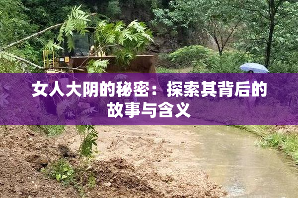 女人大阴的秘密：探索其背后的故事与含义