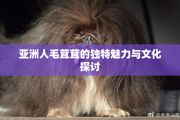 亚洲人毛茸茸的独特魅力与文化探讨