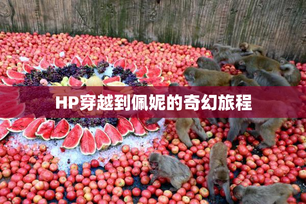 HP穿越到佩妮的奇幻旅程