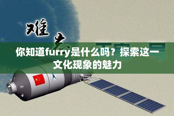 你知道furry是什么吗？探索这一文化现象的魅力