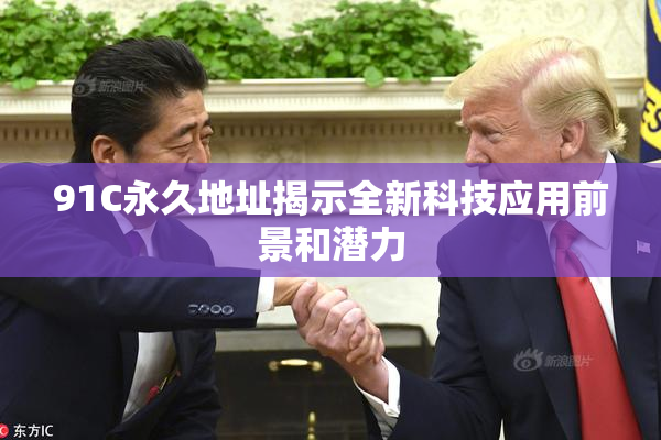 91C永久地址揭示全新科技应用前景和潜力