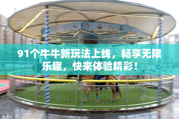 91个牛牛新玩法上线，畅享无限乐趣，快来体验精彩！