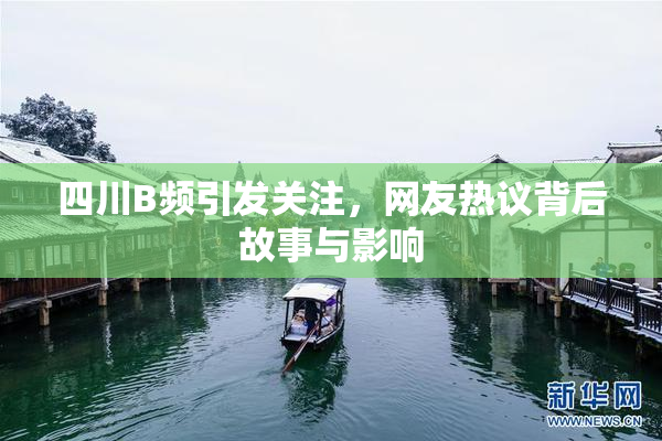 四川B频引发关注，网友热议背后故事与影响