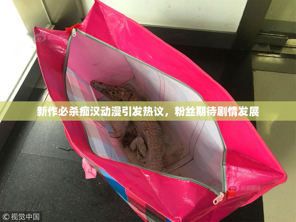 新作必杀痴汉动漫引发热议，粉丝期待剧情发展