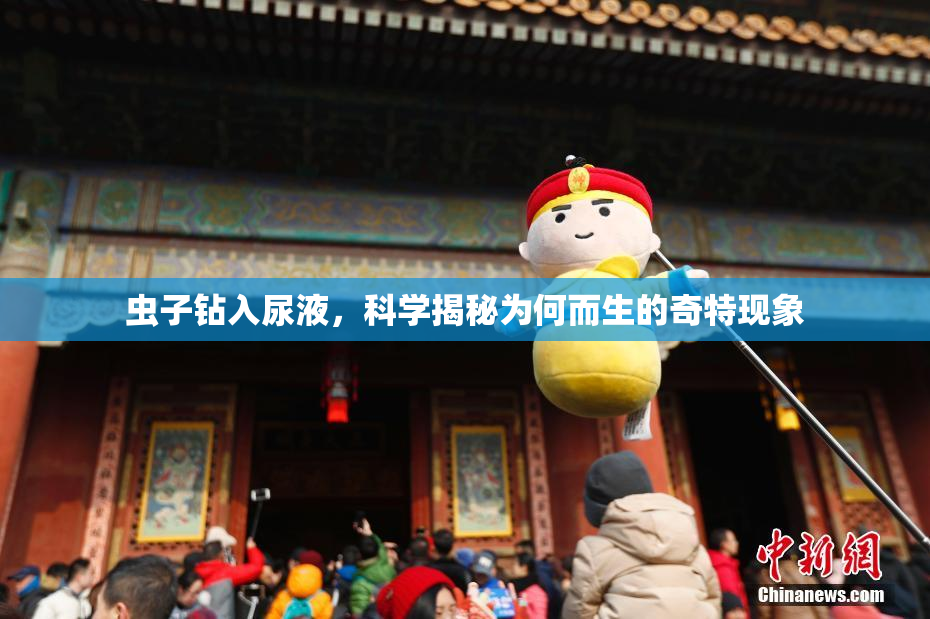 虫子钻入尿液，科学揭秘为何而生的奇特现象