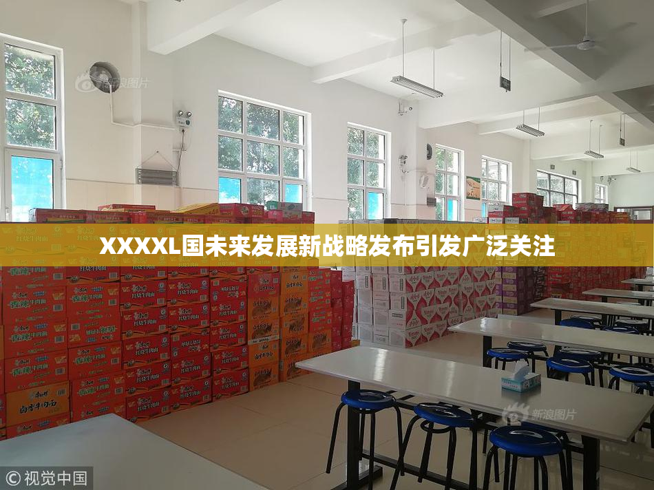 XXXXL国未来发展新战略发布引发广泛关注