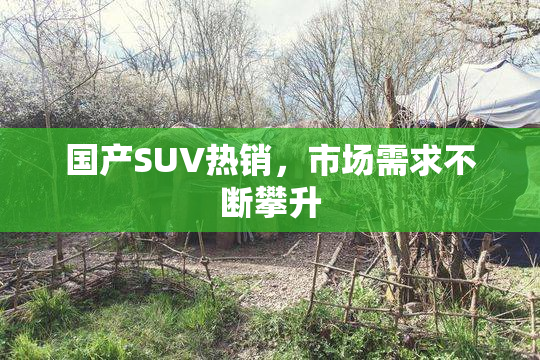 国产SUV热销，市场需求不断攀升