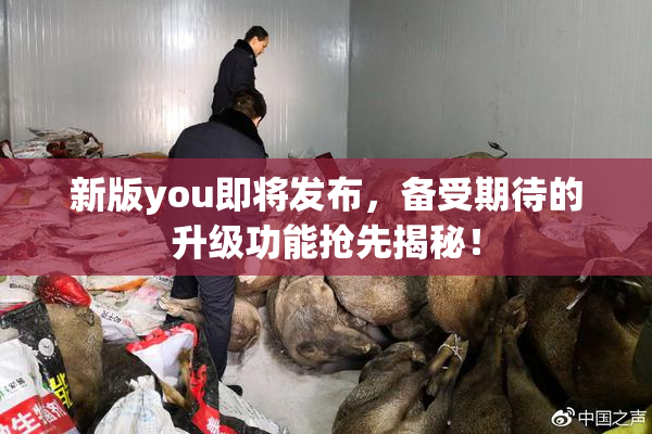 新版you即将发布，备受期待的升级功能抢先揭秘！