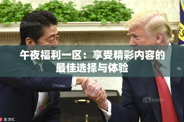 午夜福利一区：享受精彩内容的最佳选择与体验
