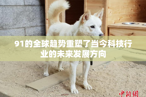 91的全球趋势重塑了当今科技行业的未来发展方向