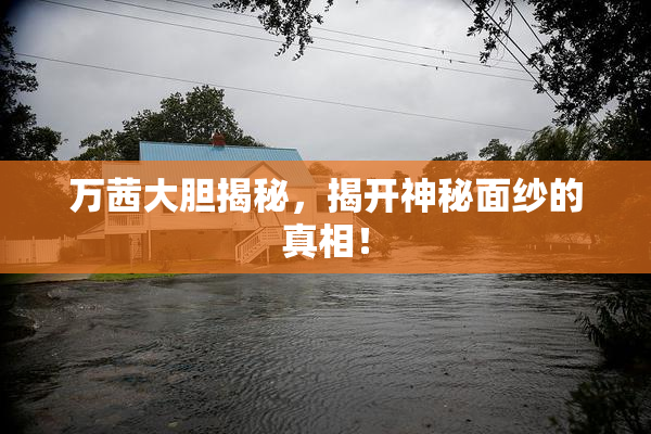 万茜大胆揭秘，揭开神秘面纱的真相！