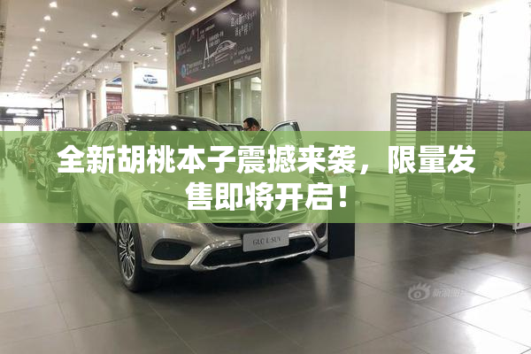 全新胡桃本子震撼来袭，限量发售即将开启！