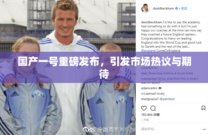 国产一号重磅发布，引发市场热议与期待