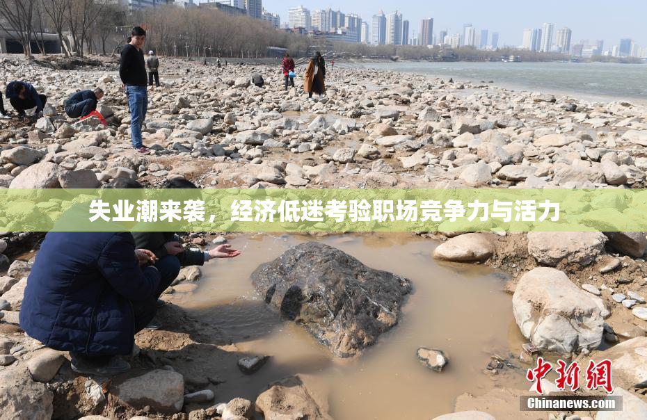 失业潮来袭，经济低迷考验职场竞争力与活力