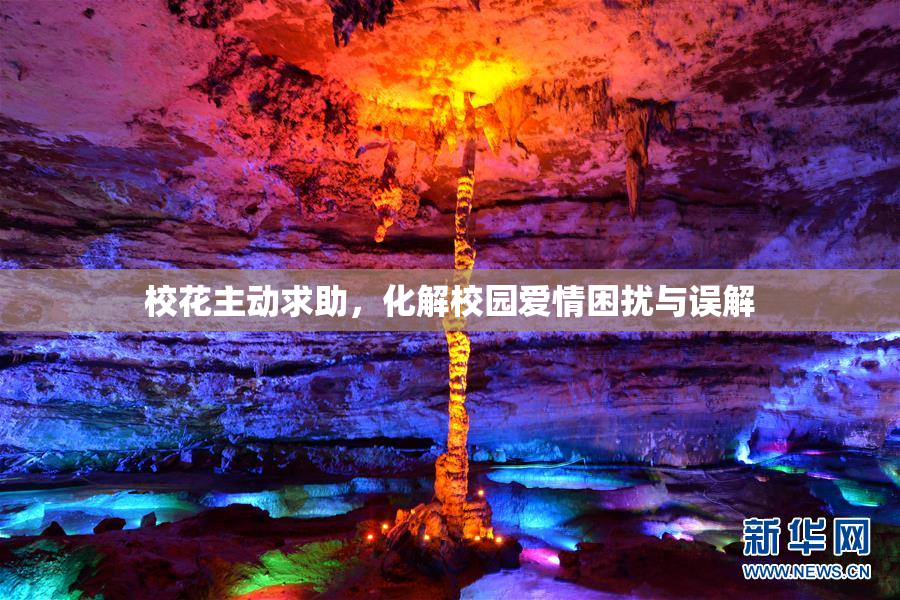 校花主动求助，化解校园爱情困扰与误解