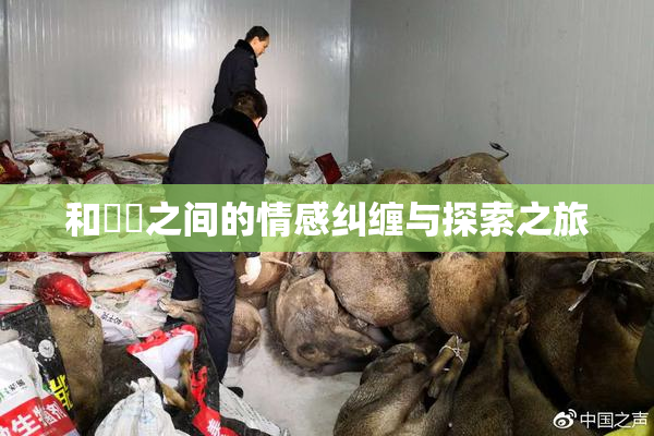 和妺妺之间的情感纠缠与探索之旅
