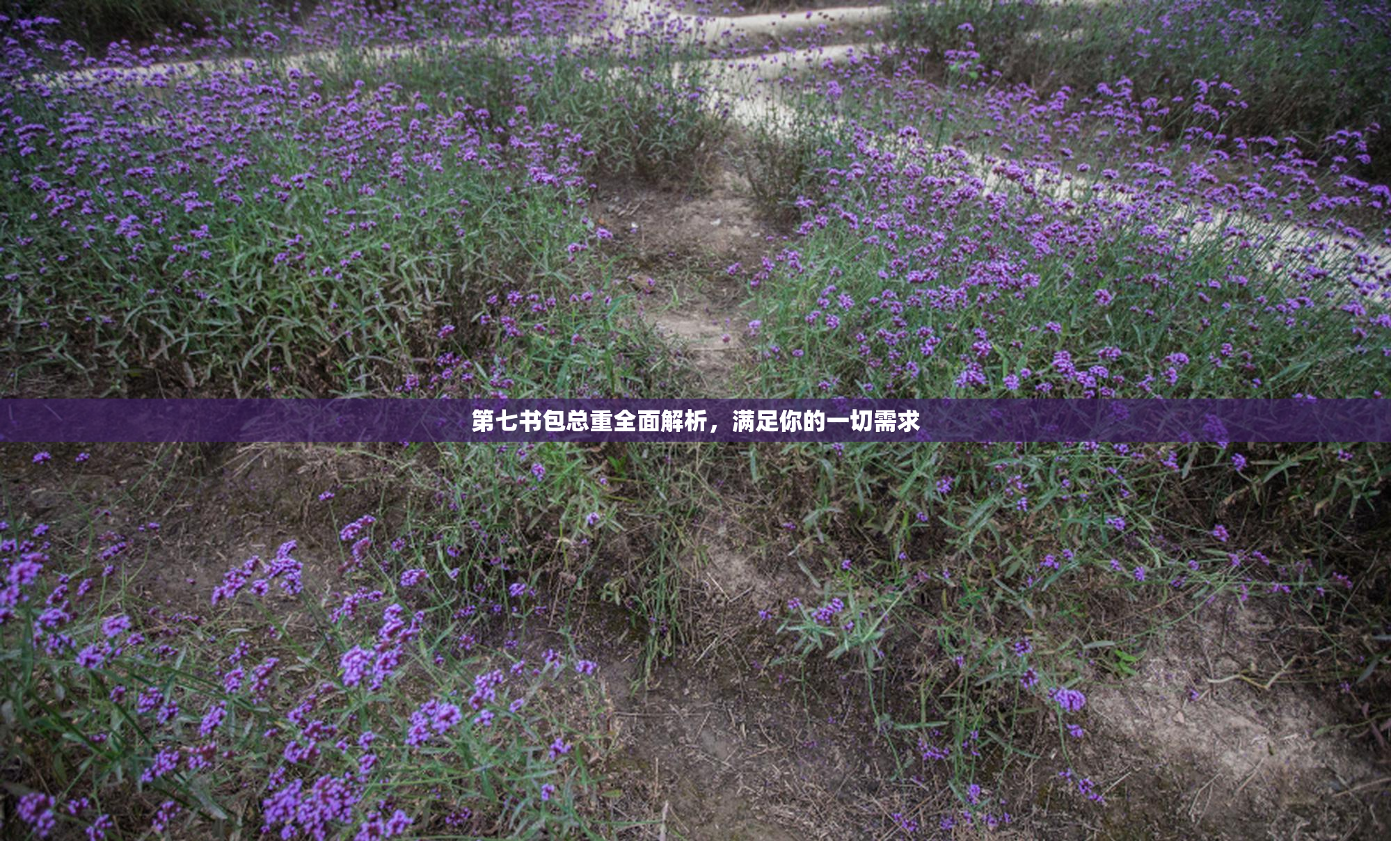 第七书包总重全面解析，满足你的一切需求