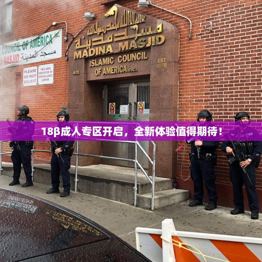 18β成人专区开启，全新体验值得期待！