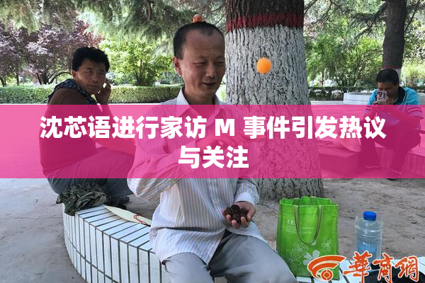 沈芯语进行家访 M 事件引发热议与关注
