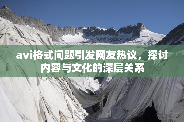 avi格式问题引发网友热议，探讨内容与文化的深层关系