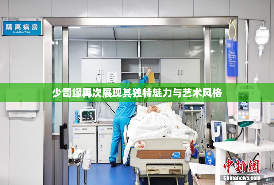 少司缘再次展现其独特魅力与艺术风格