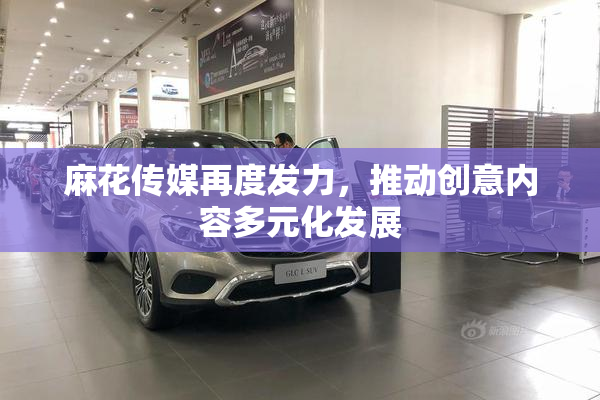 麻花传媒再度发力，推动创意内容多元化发展