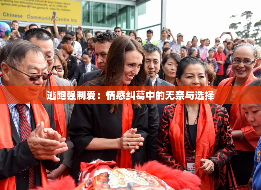逃跑强制爱：情感纠葛中的无奈与选择