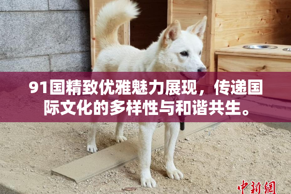 91国精致优雅魅力展现，传递国际文化的多样性与和谐共生。