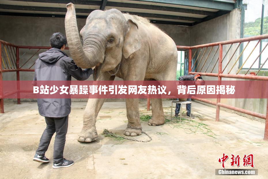 B站少女暴躁事件引发网友热议，背后原因揭秘