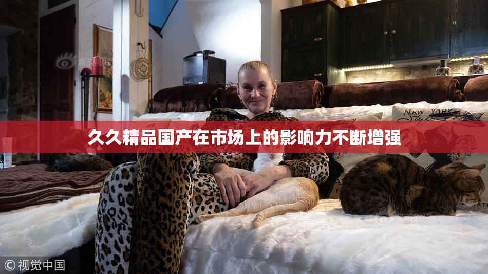 久久精品国产在市场上的影响力不断增强