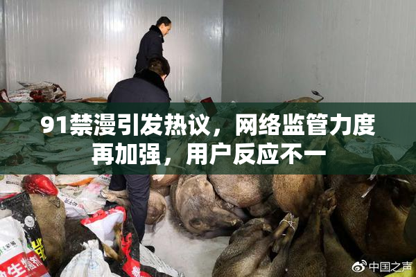 91禁漫引发热议，网络监管力度再加强，用户反应不一