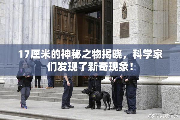 17厘米的神秘之物揭晓，科学家们发现了新奇现象！