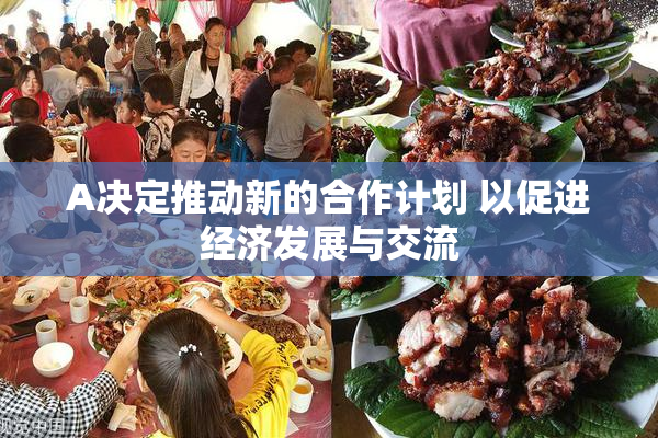 A决定推动新的合作计划 以促进经济发展与交流