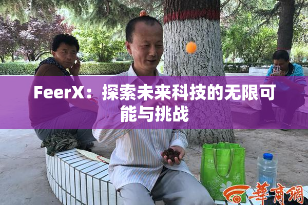 FeerX：探索未来科技的无限可能与挑战
