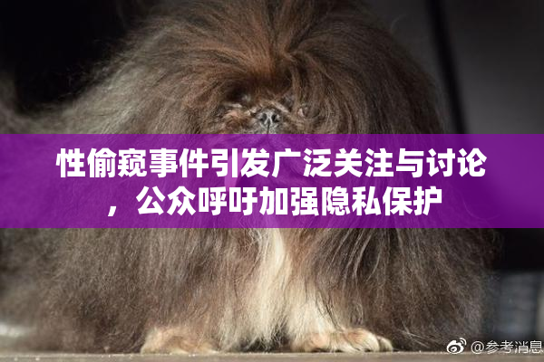 性偷窥事件引发广泛关注与讨论，公众呼吁加强隐私保护