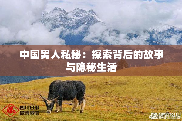 中国男人私秘：探索背后的故事与隐秘生活
